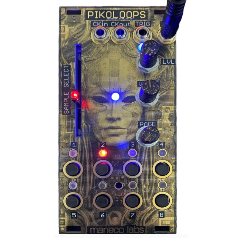 PIKOLOOPS MANECO LABS